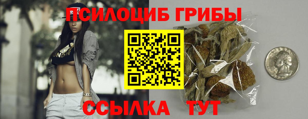 Галлюциногенные грибы Cubensis Обнинск